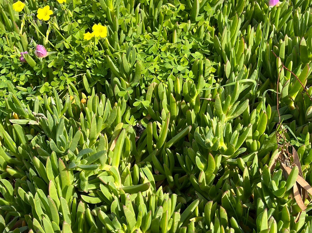 Martinez Regional Shoreline-Martinez必去景点