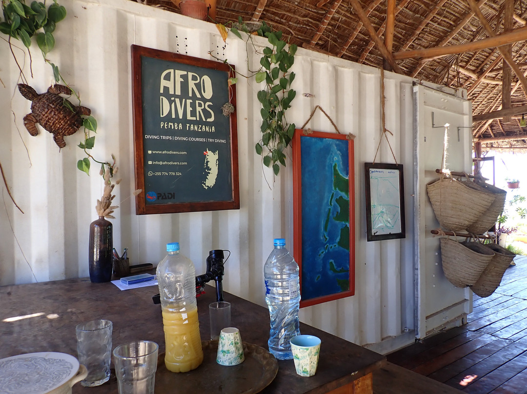 Afro Divers-奔巴岛必去景点