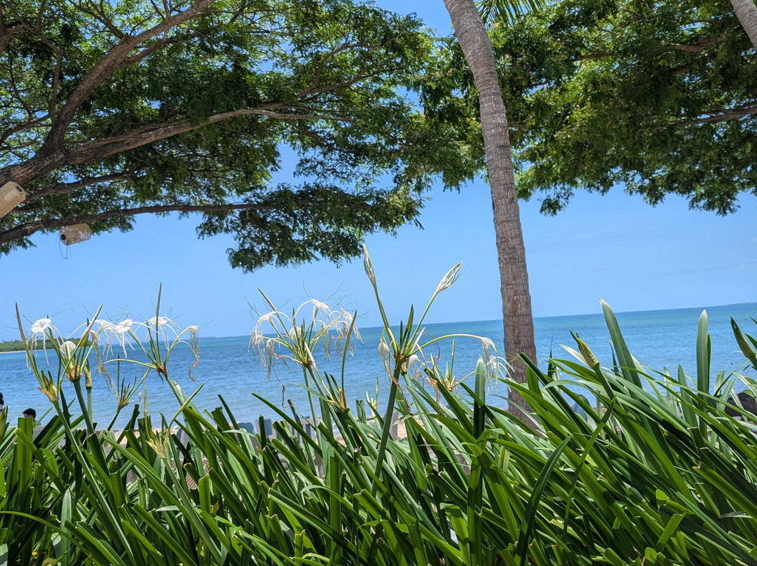 Epic Transfer and Tours Fiji-纳迪市必去景点