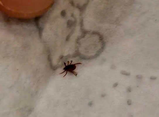 Yang Sing Hotel-官方