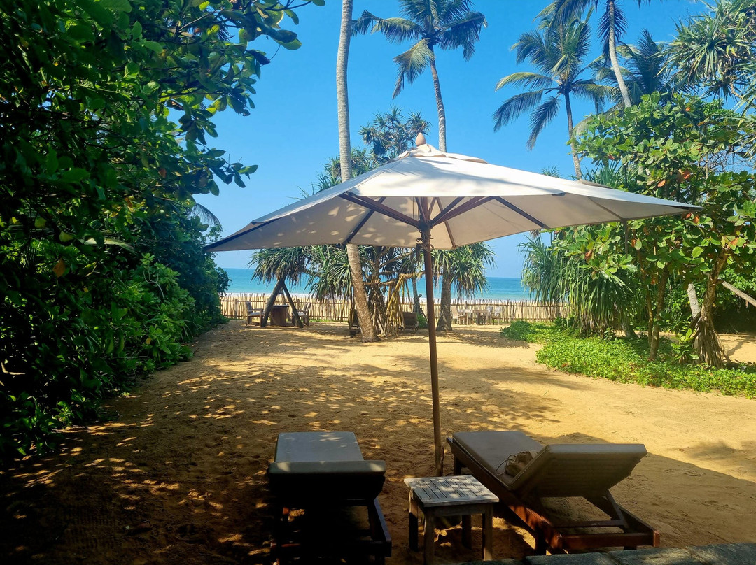 Villa Saffron Hikkaduwa主图