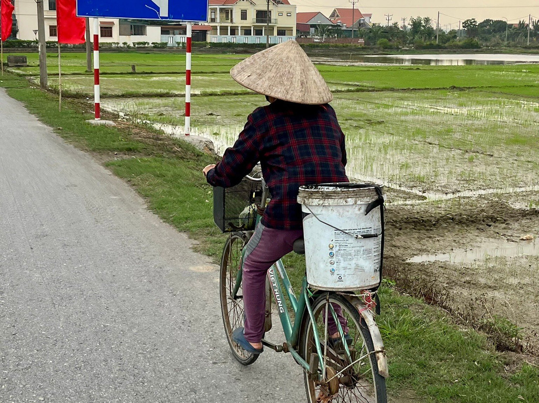 Paddy Home主图