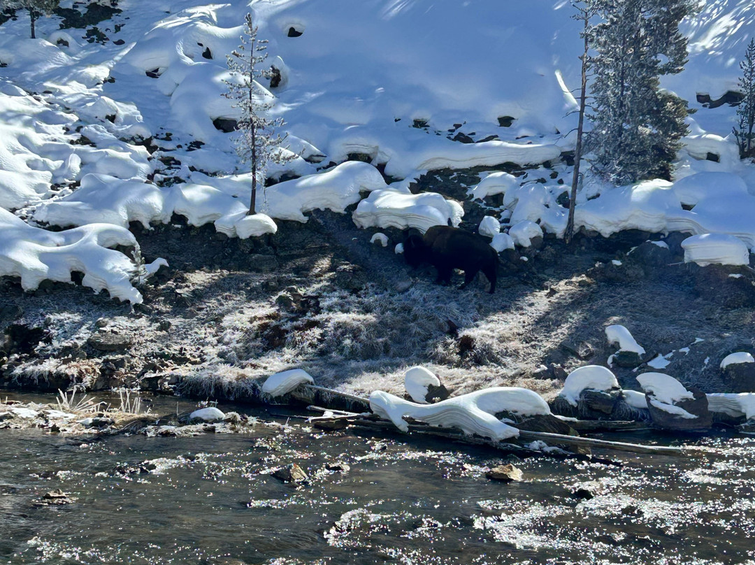 Old Faithful Snowmobile Tours - Day Tours-杰克逊必去景点