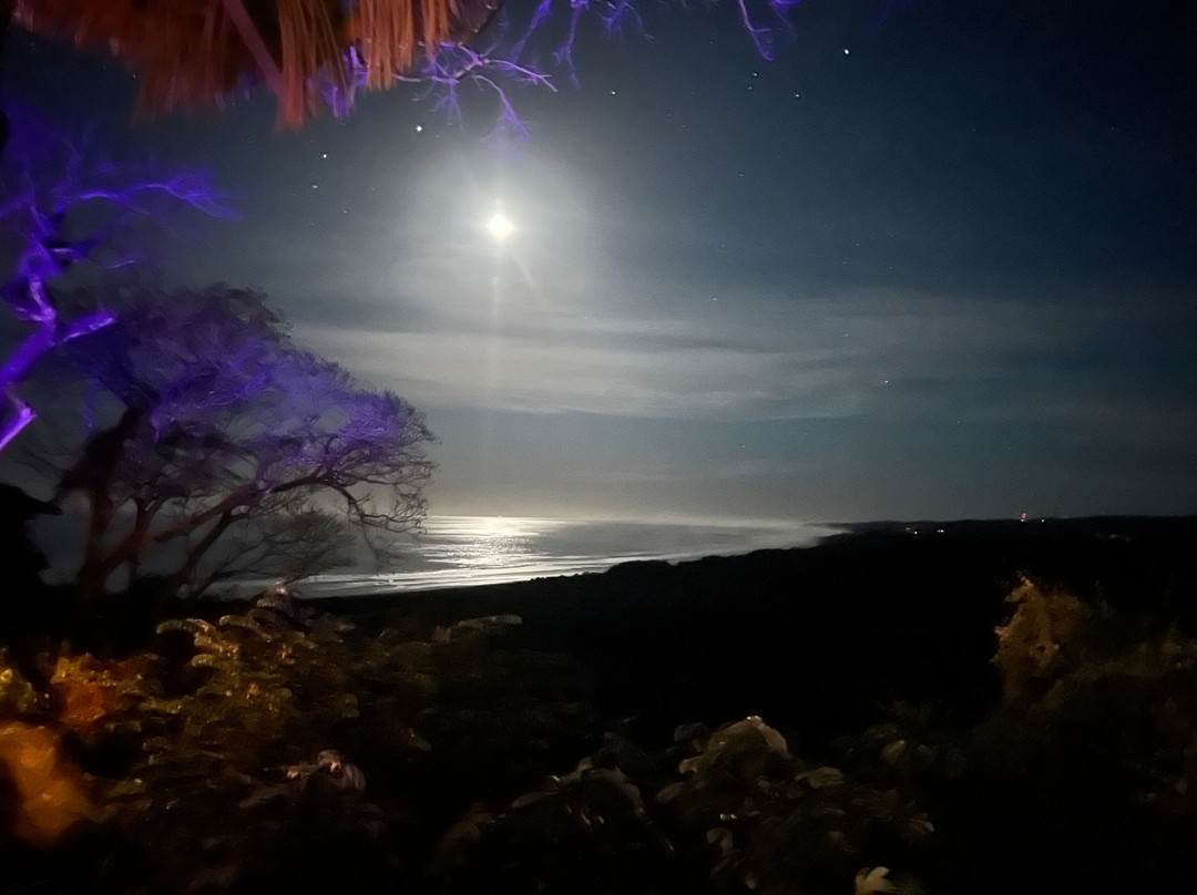 Hotel Boutique Lagarta Lodge主图