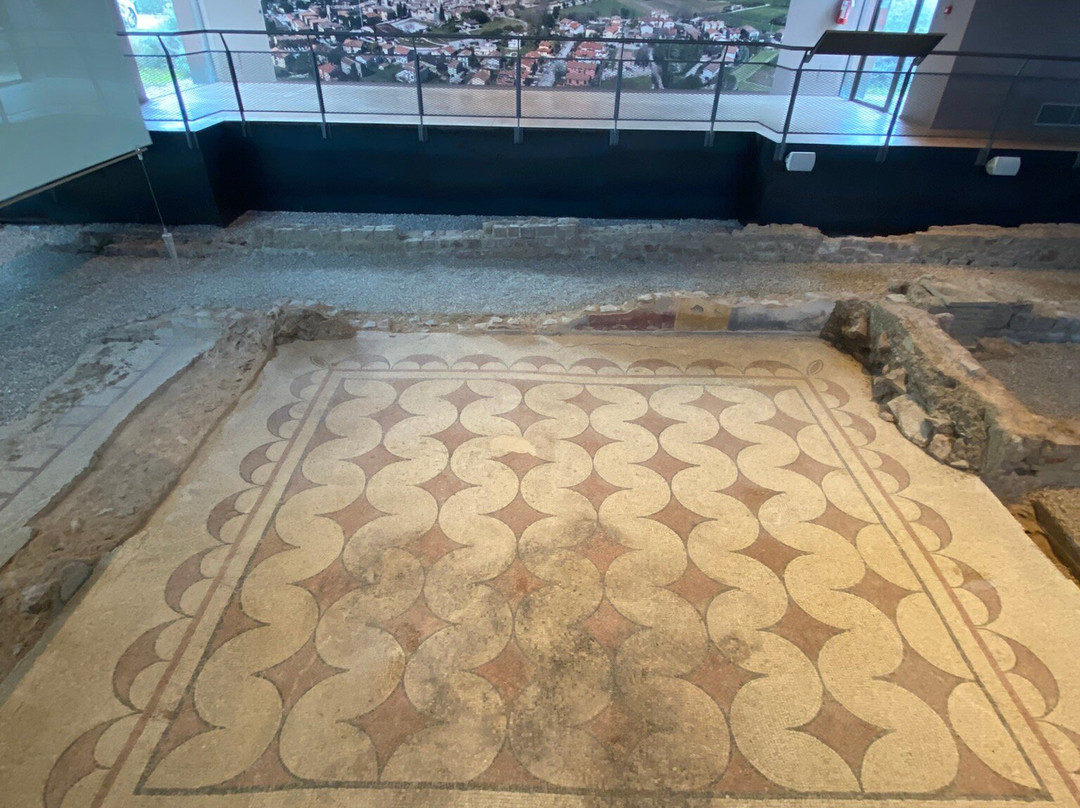 Villa dei Mosaici景点图片