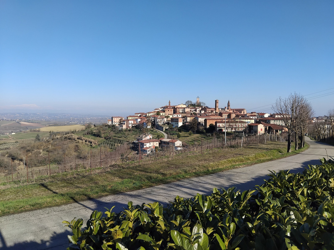Strada Panoramica Tra Cuccaro Monferrato e Lu景点图片