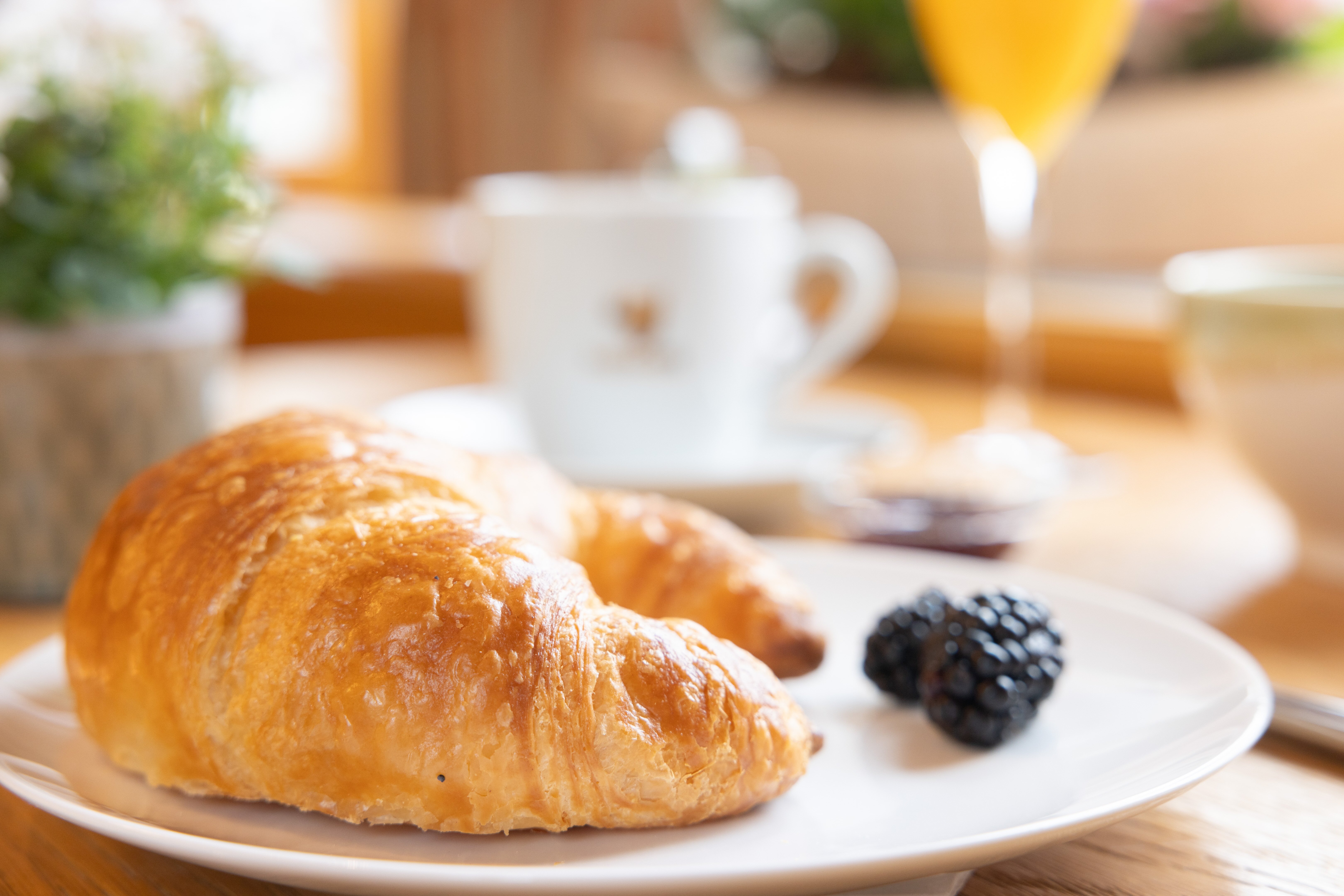 Landhotel Steigenhaus-餐饮