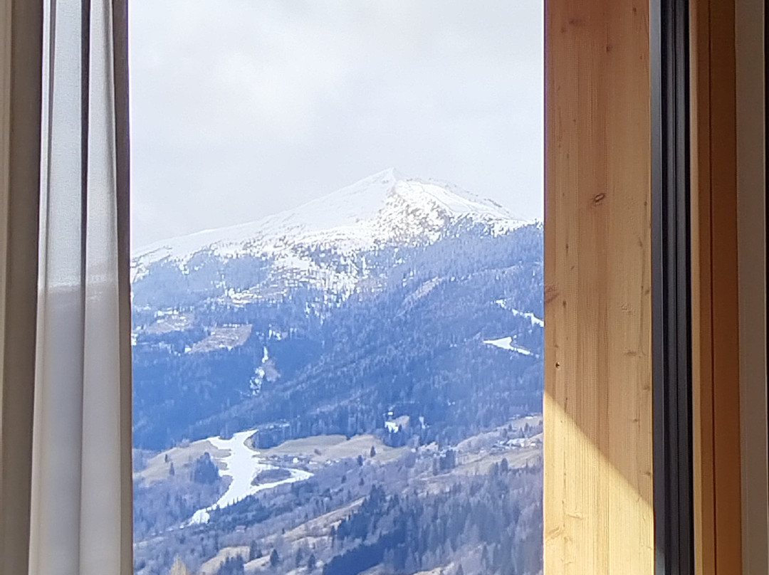 der Löckerwirt - HOTEL主图