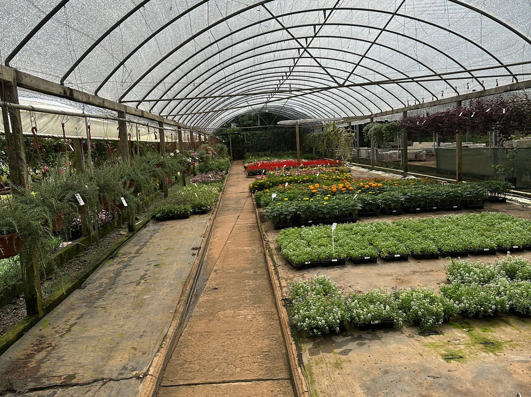 Floricultura Úrsula-Nova Petropolis必去景点