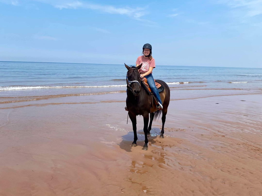 Lakeside Trail Rides-Morell必去景点