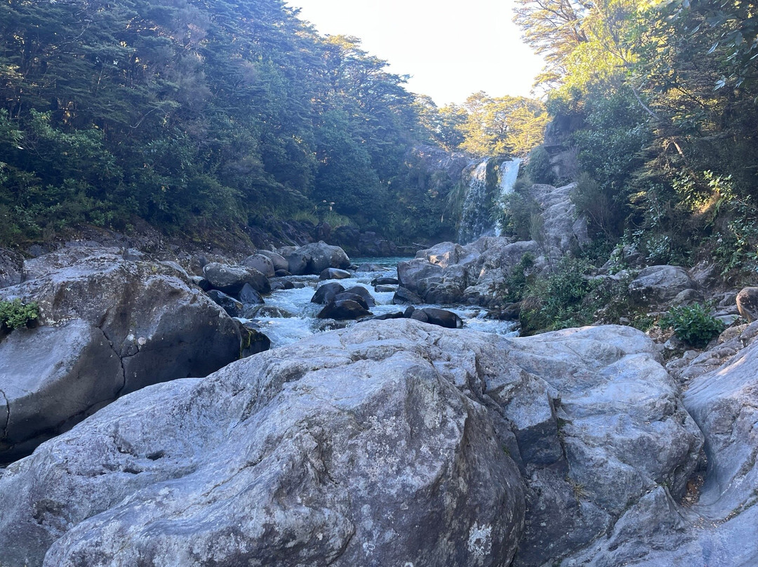 Tongariro National Park Visitor Centre (Whakapapa Visitor Centre)景点图片