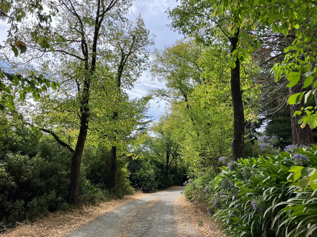 Wombat Hill Botanical Gardens-戴尔斯福特必去景点