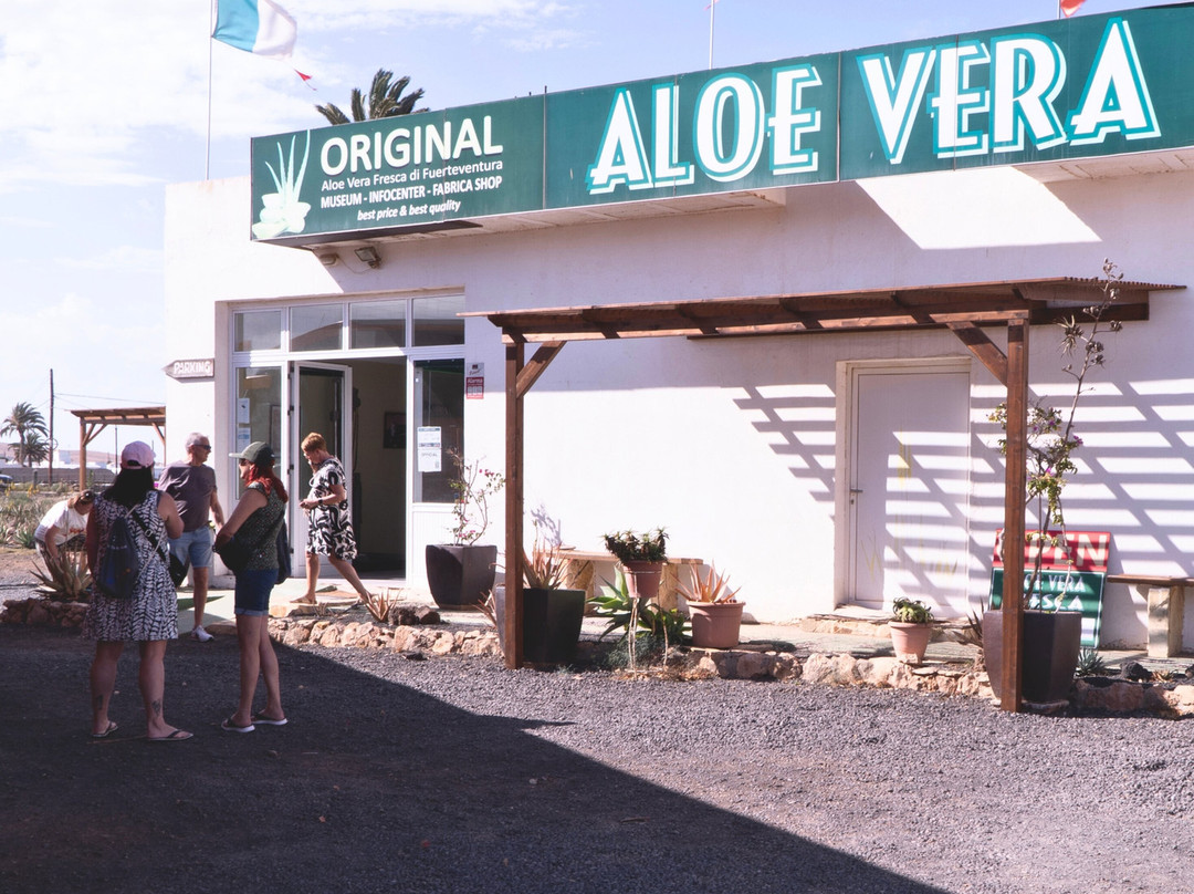 Aloe Vera museum景点图片
