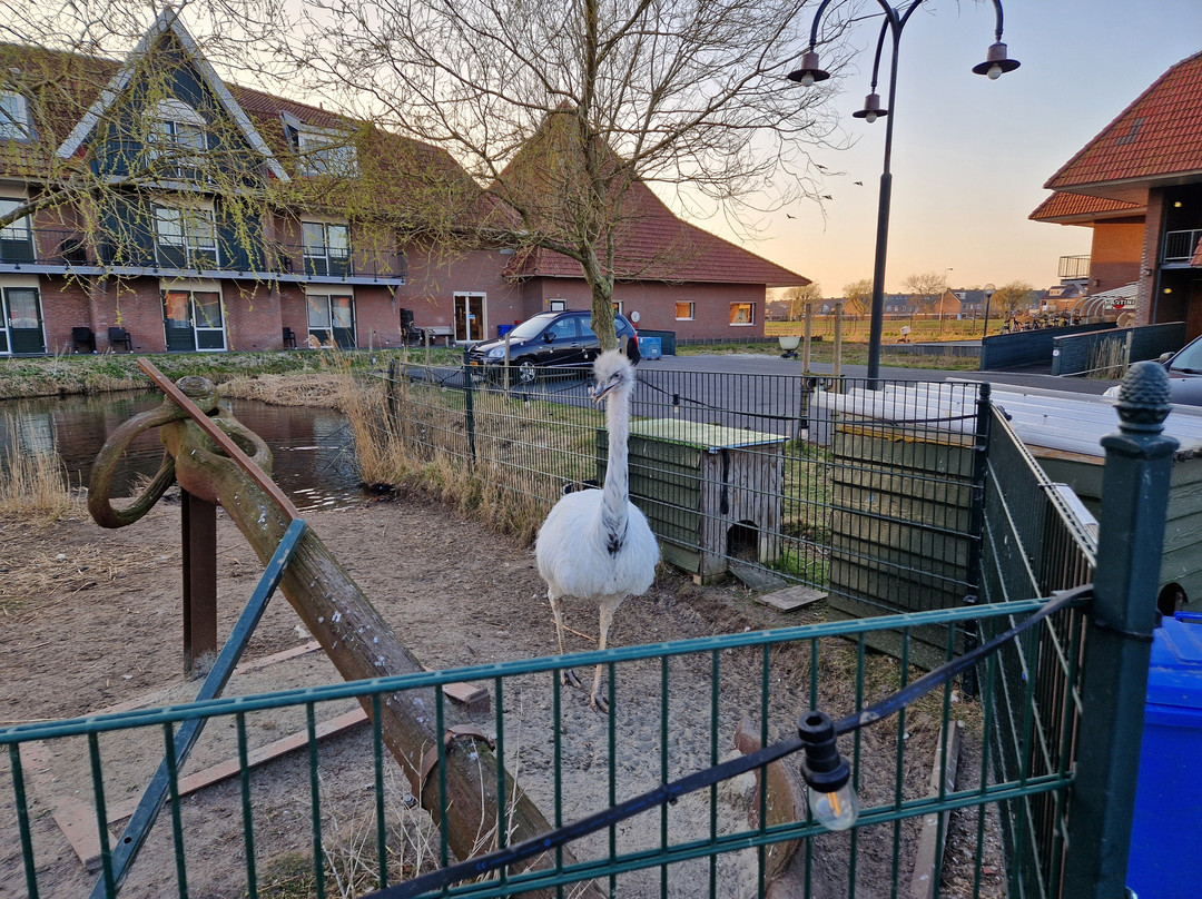 莱帕尔群岛主图