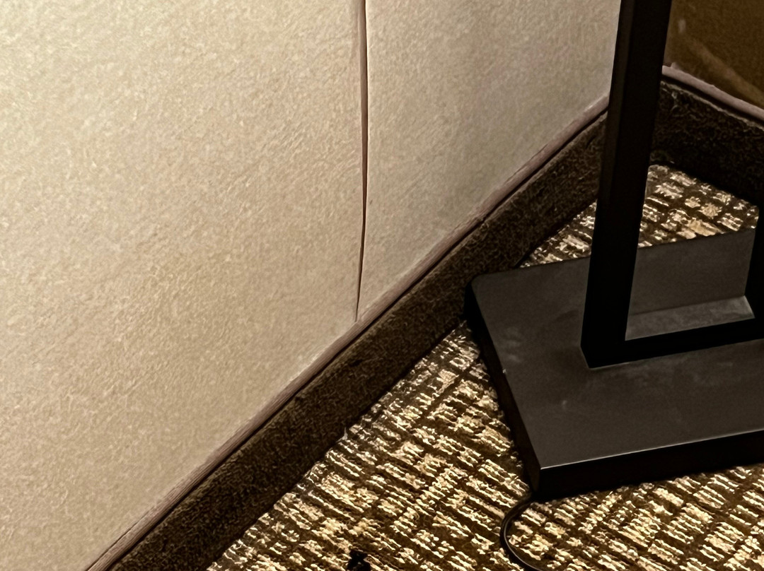 Comfort Inn Albany / Glenmont主图