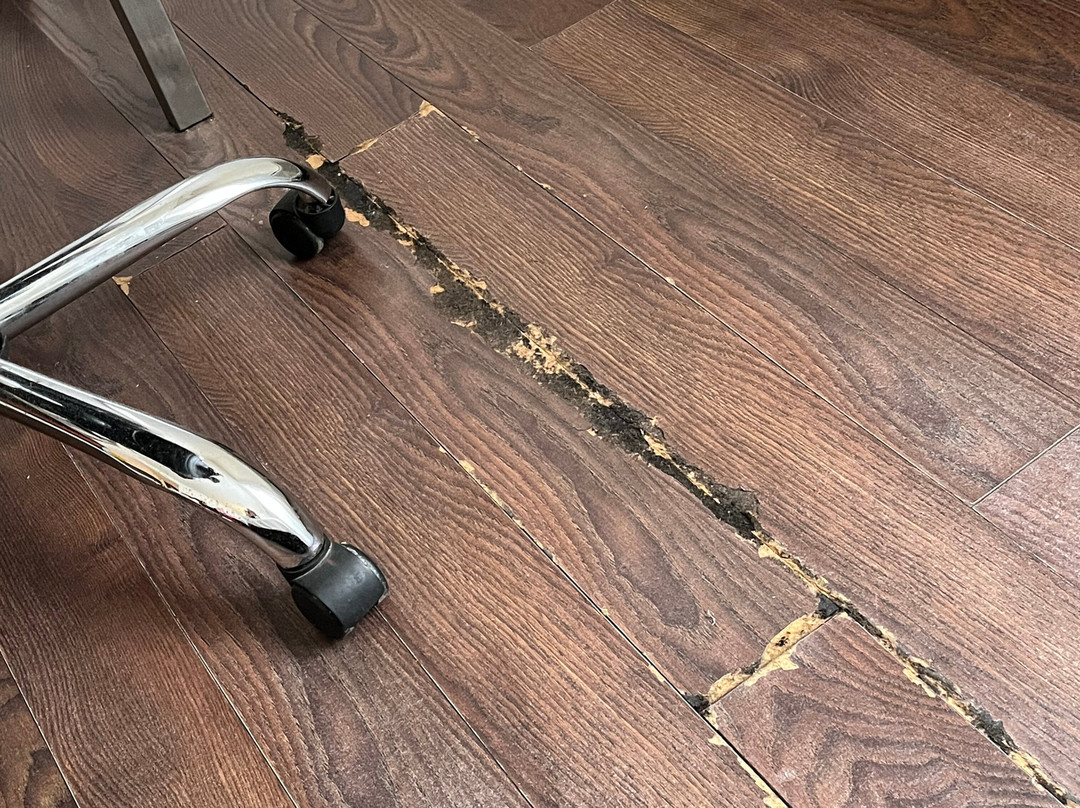 Fiesta Inn Xalapa主图