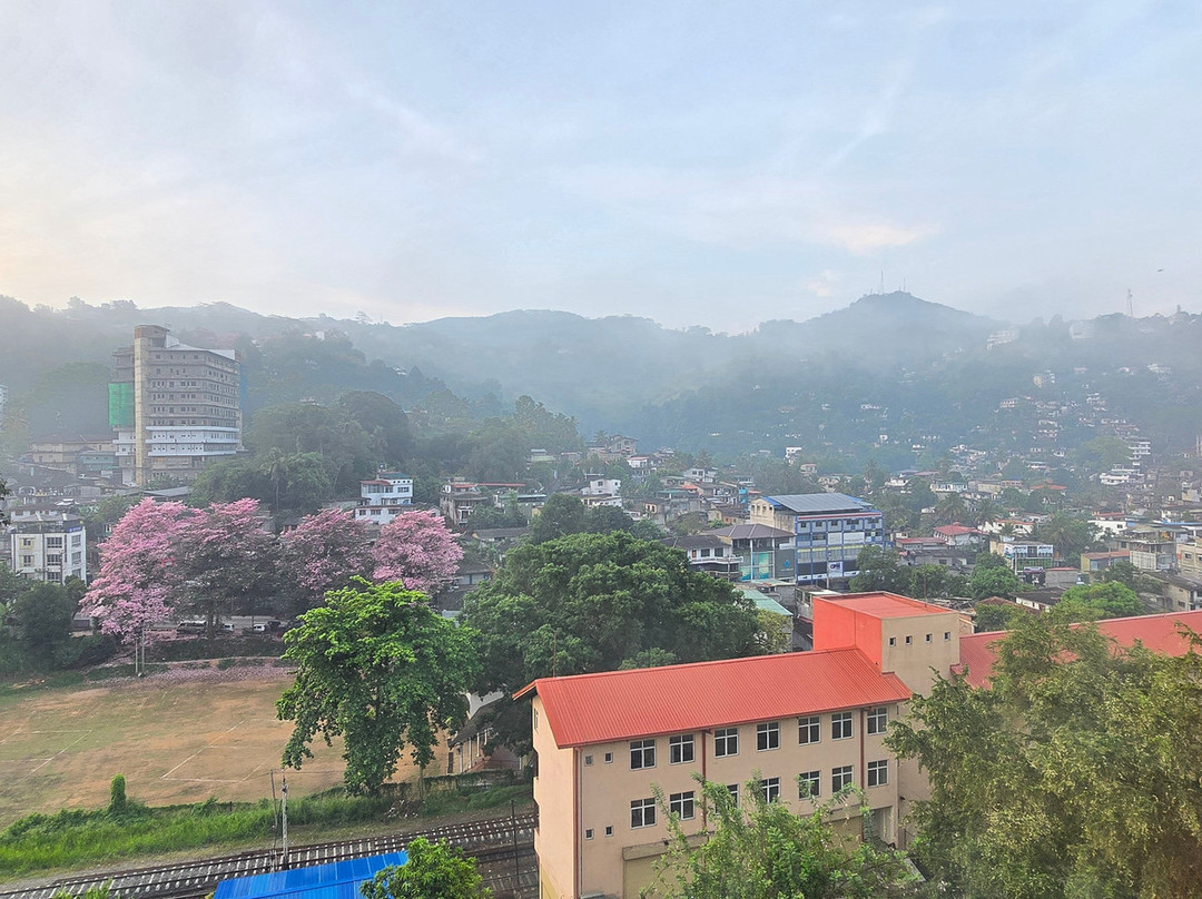 Oak Ray City Hotel主图