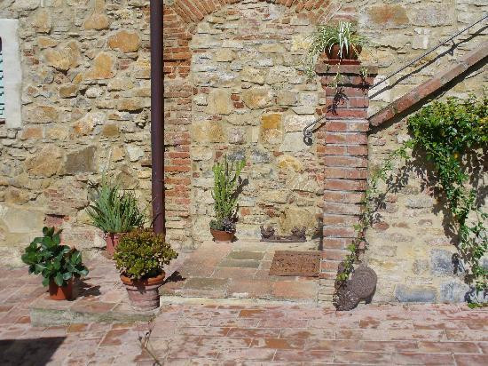 Fattoria Conio Agriturismo podere Capannuccia主图