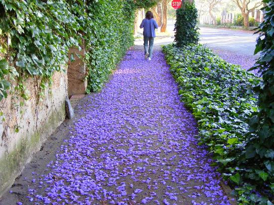 Abigail's B & B主图