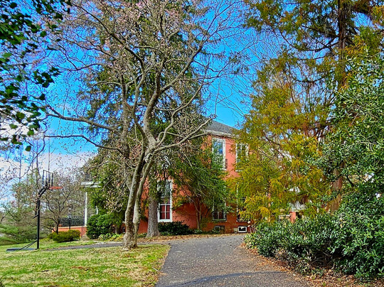 Lutherville Historic District-Lutherville必去景点