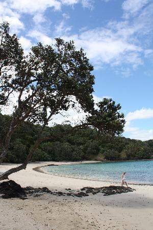 Helmridge Lodge主图