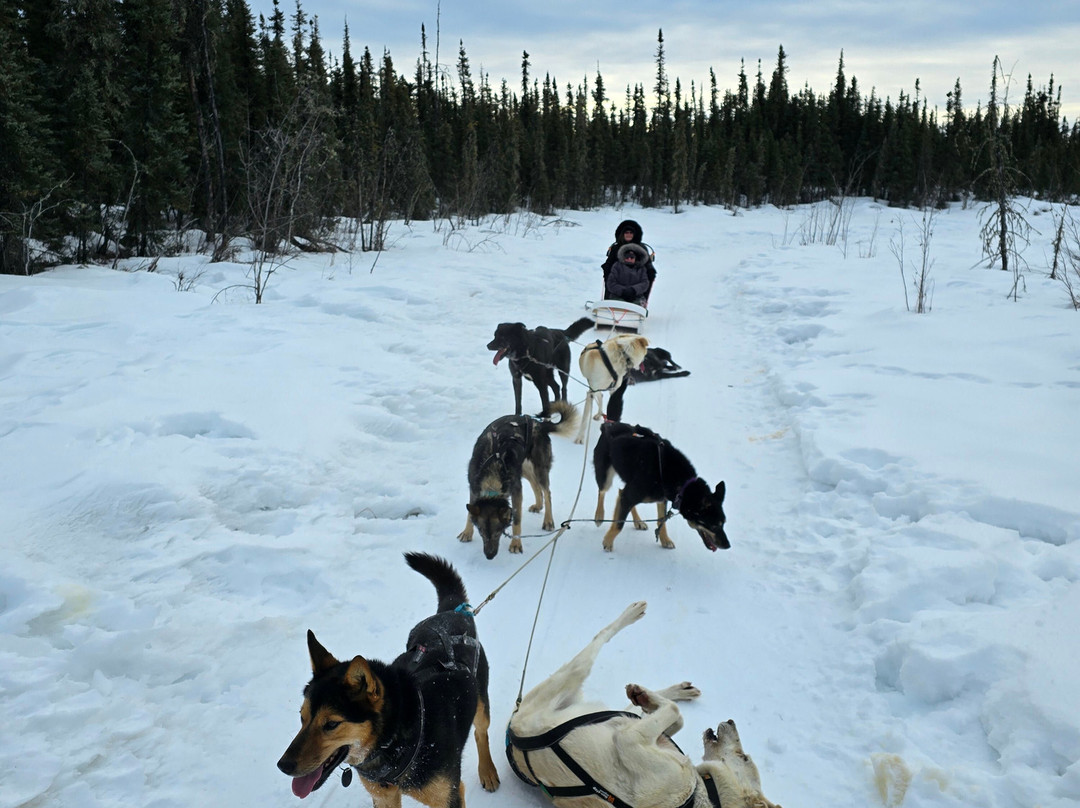 Rod's Alaskan Guide Service-费尔班克斯必去景点