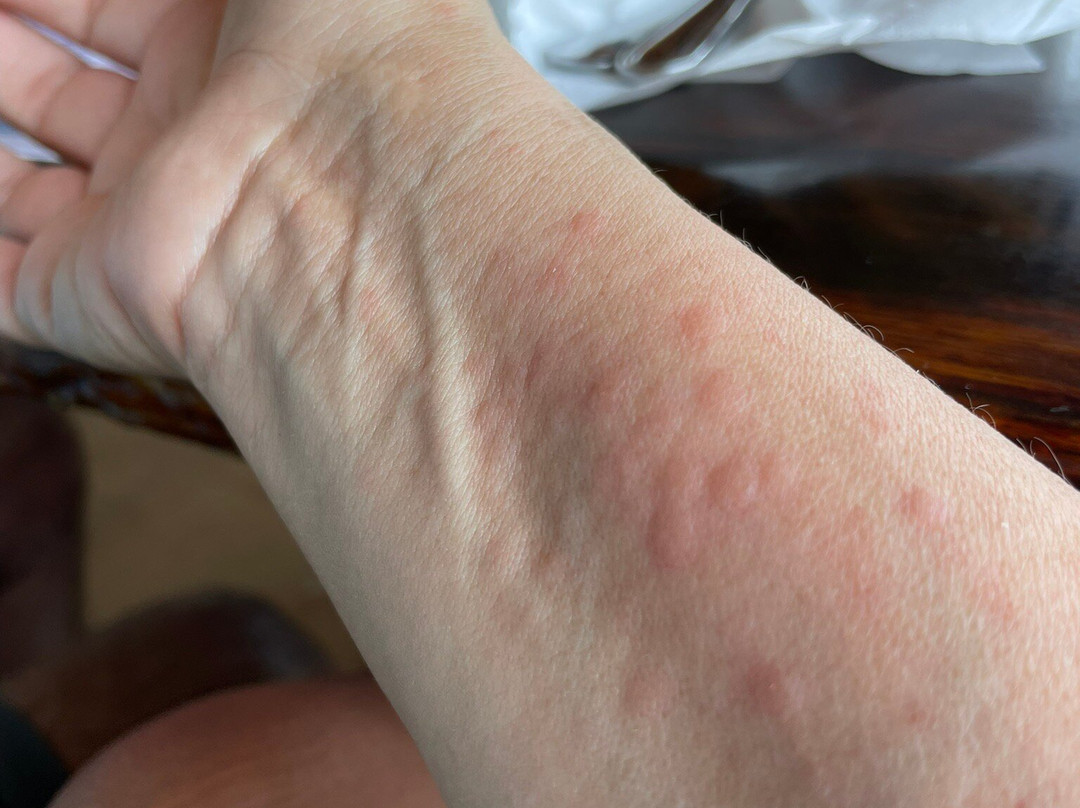 La Quinta Inn by Wyndham Jupiter主图