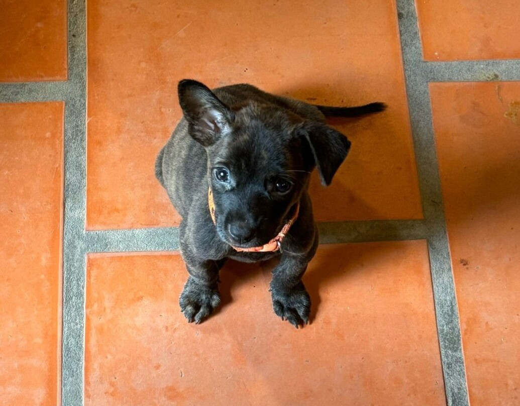 Valley Village Phu Quoc主图