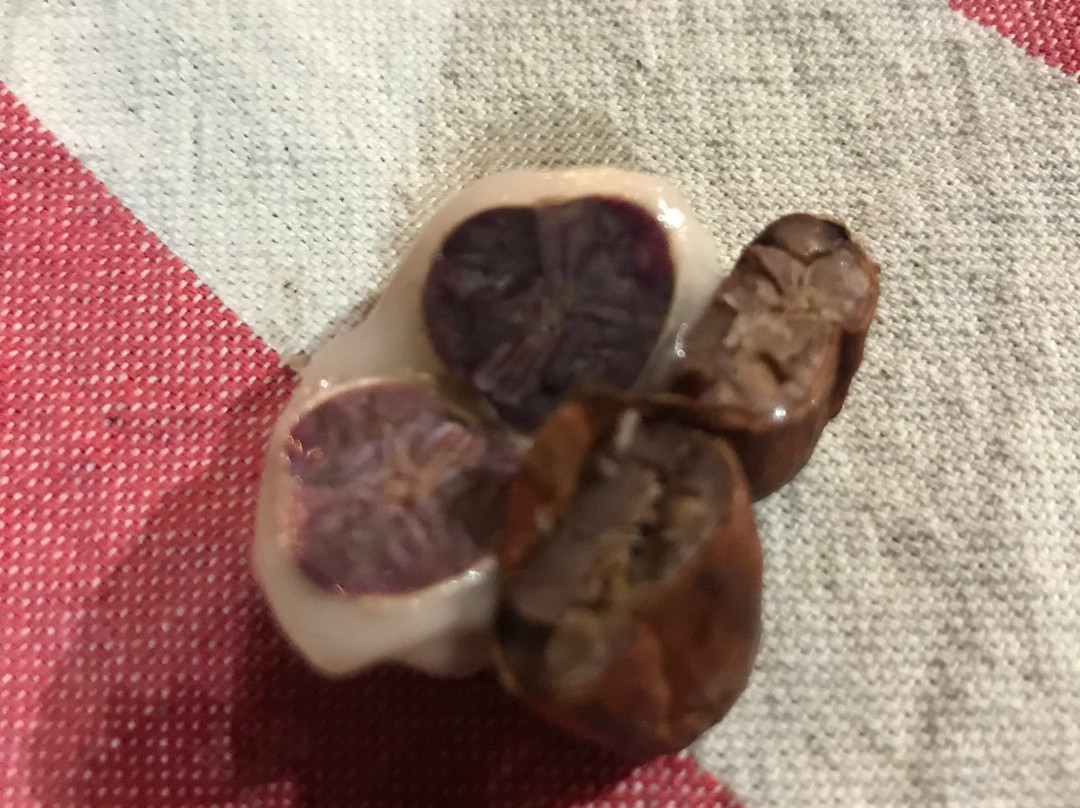 Maranura Tours-Maranura必去景点