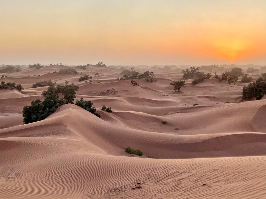 Wild Morocco-扎古拉必去景点