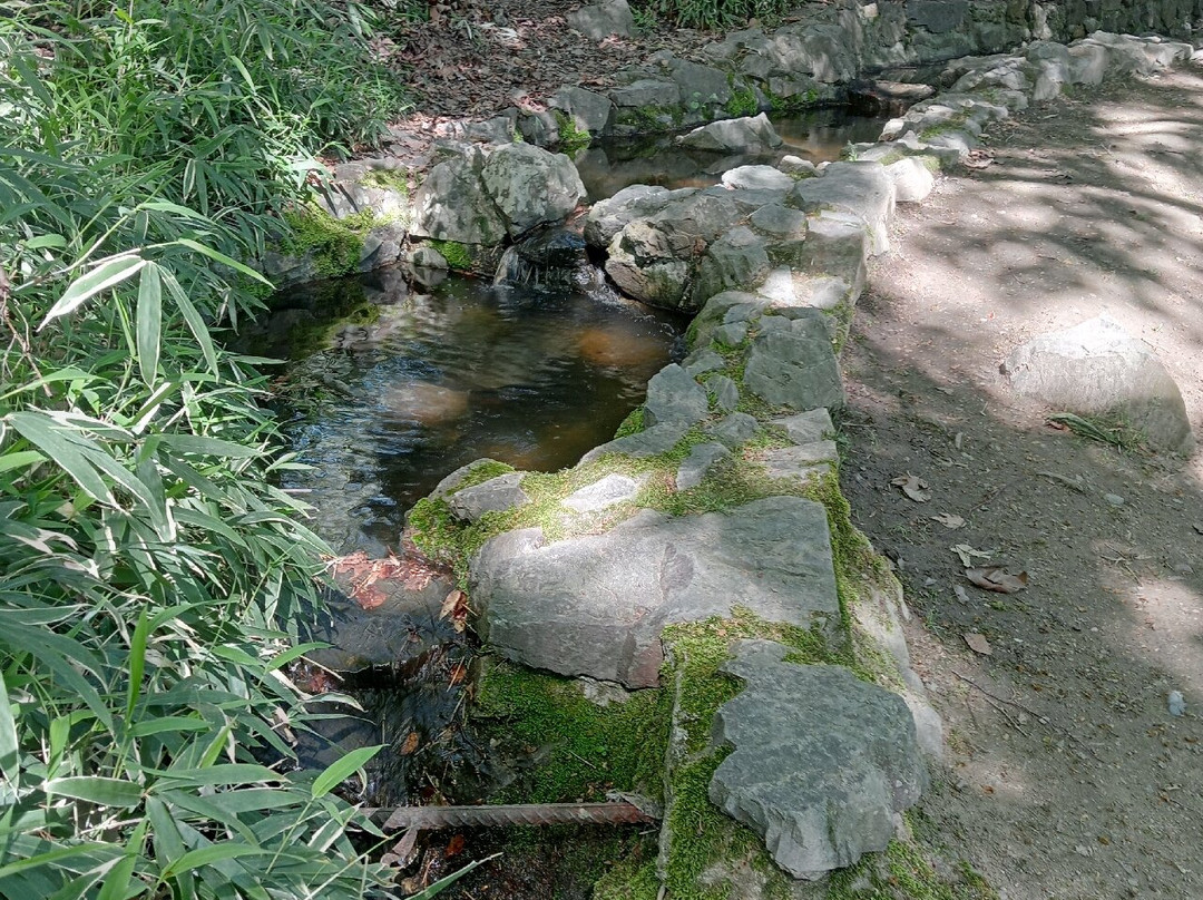 Les Bords de l'Allier景点图片