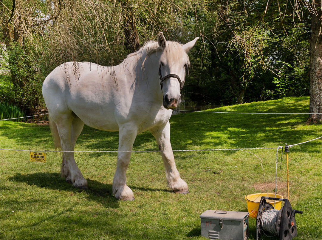 Ferme Des Noés-Saint-Aubin-sur-Gaillon必去景点