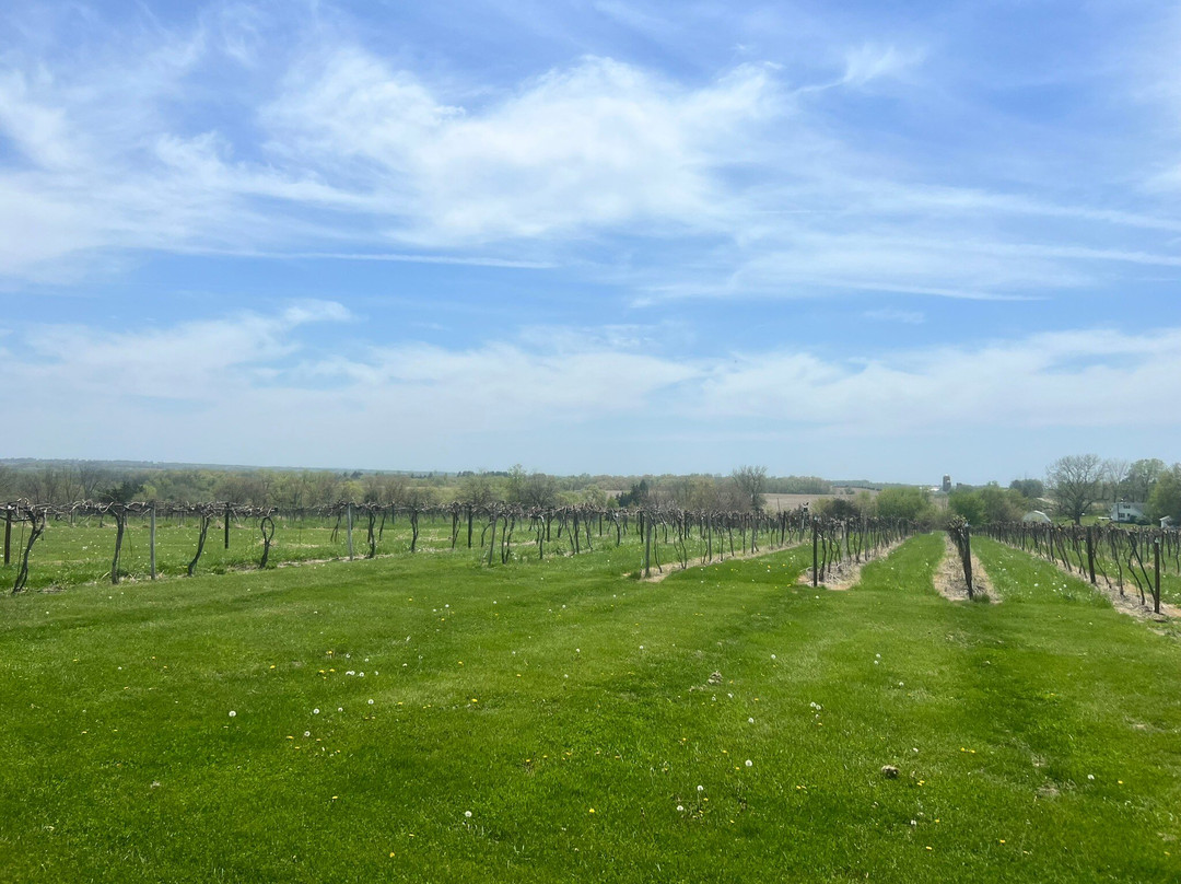 Massbach Ridge Winery-Elizabeth必去景点