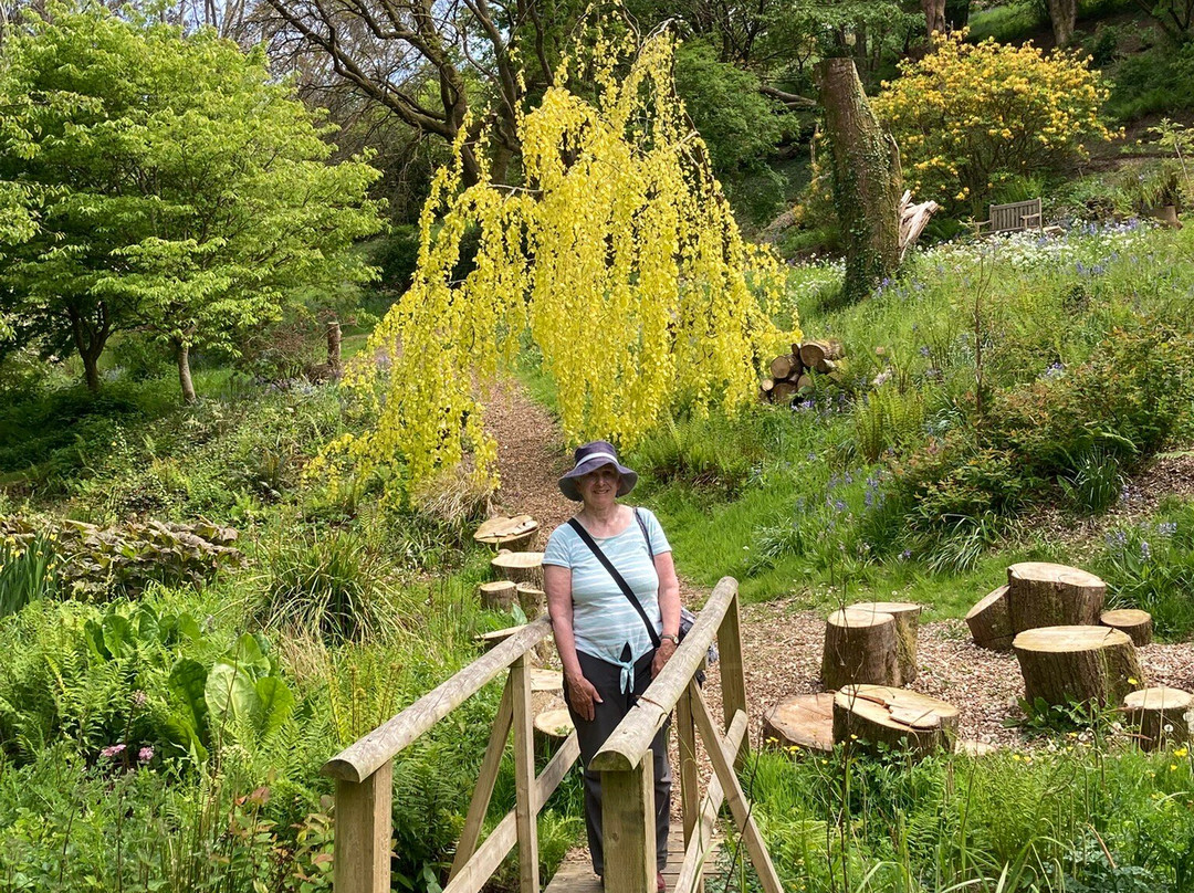 Marwood Hill Gardens景点图片