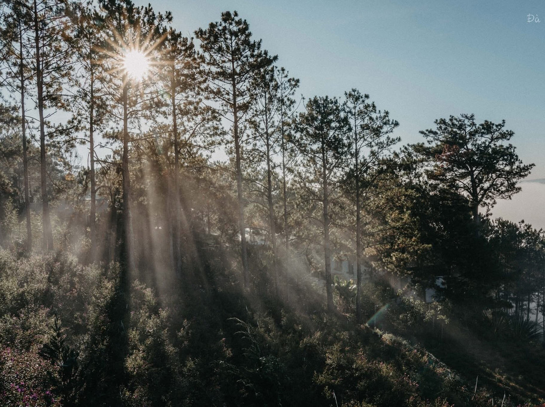 Tuyen Lam Lake-大勒必去景点