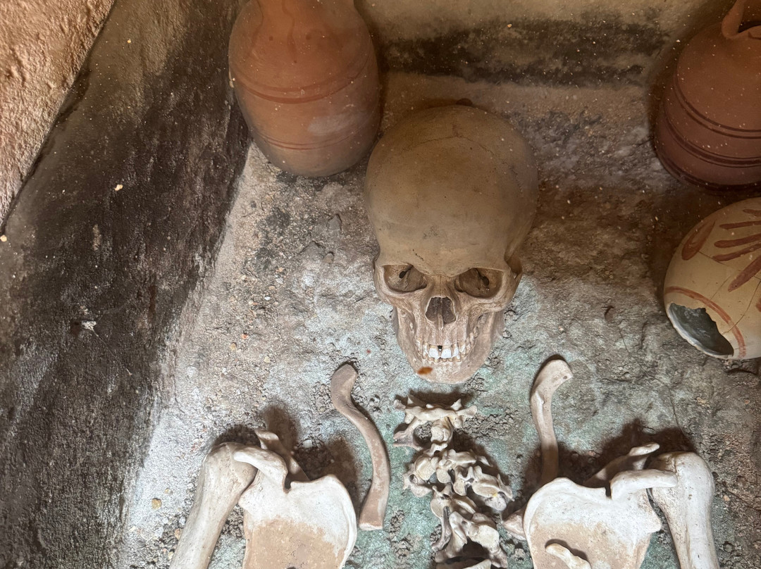 Necropolis del Puig des Molins-伊维萨城区必去景点