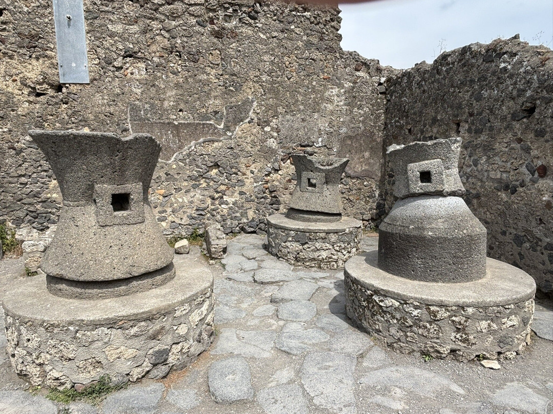 Dario Davide Archaeologist-庞贝必去景点