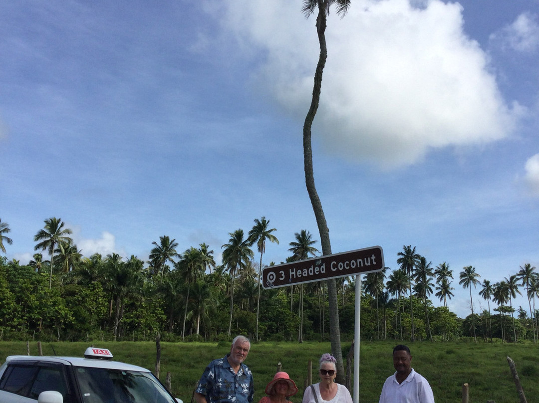 3 Headed Coconut-Tongatapu Island必去景点