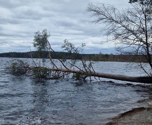 Veresk Eco Park-Ilyichevo必去景点