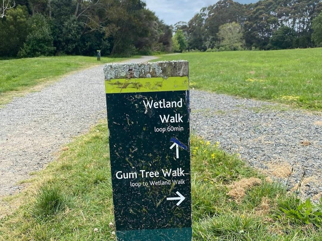 Waiatarua Reserve景点图片