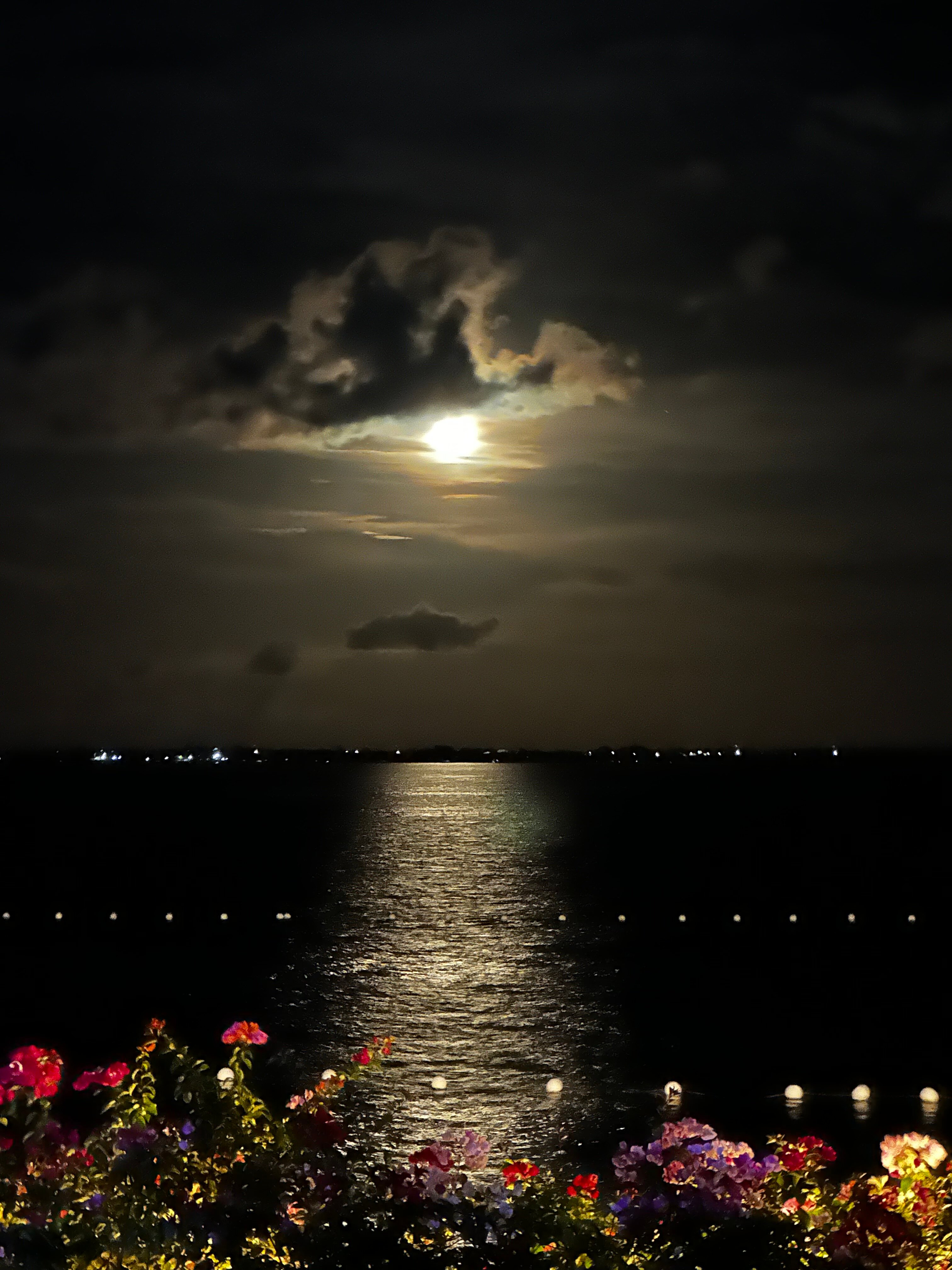 深红海滩温泉度假村-宿务马克坦岛-泳池