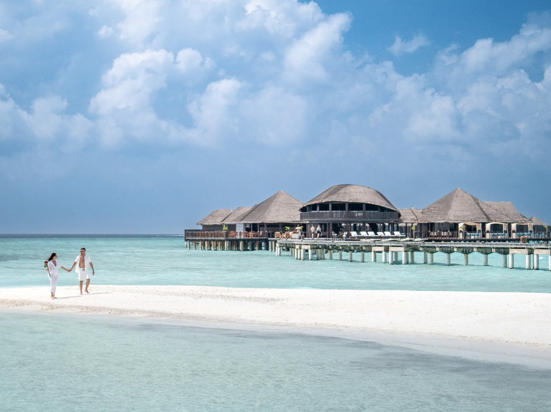 波杜希蒂岛度假村主图