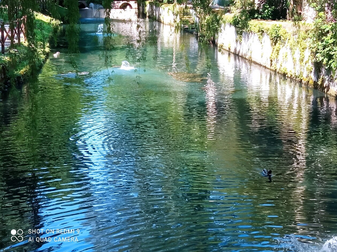 Giardino Salvi-维琴查必去景点