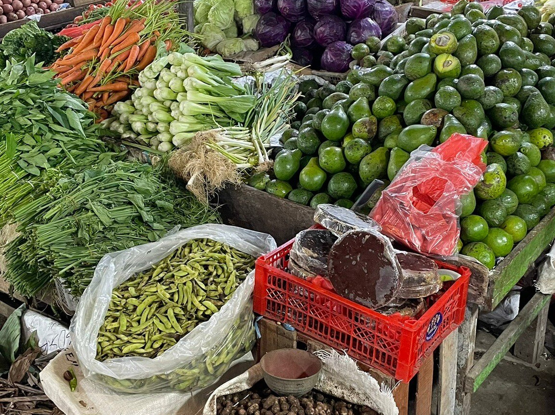 Tri Jaya - Day Tours-棉兰必去景点