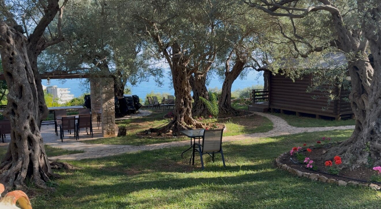 Holiday Park Olive Tree-官方