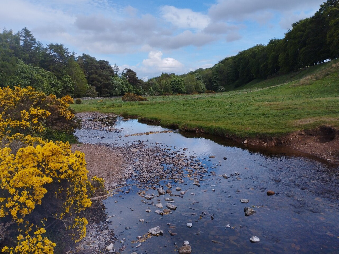 The Flotterstone