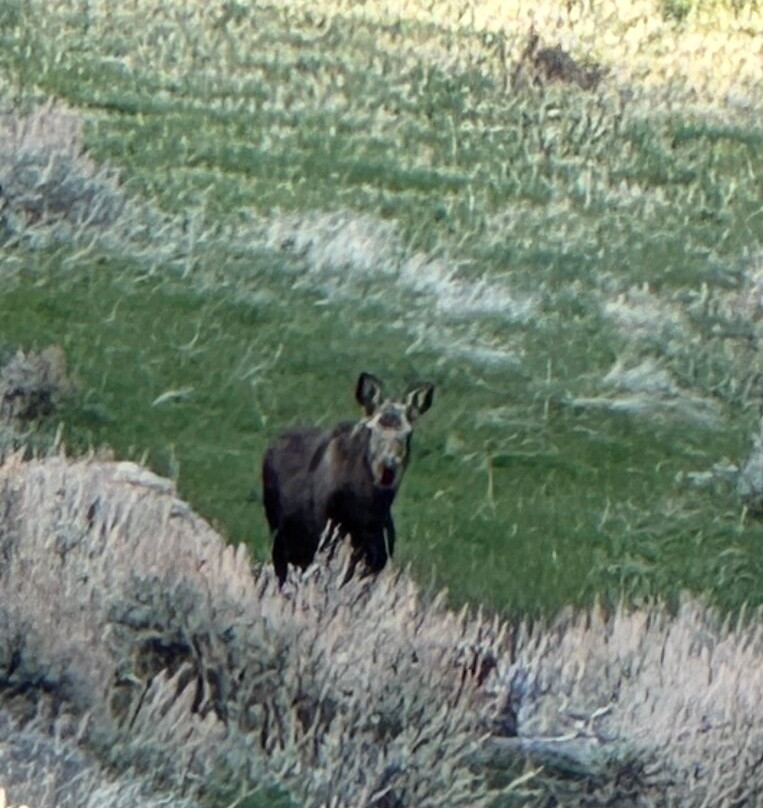 US Highway 16-布法罗必去景点