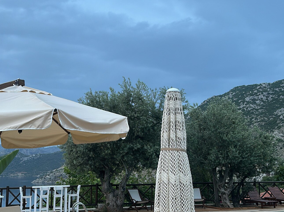 Boho Garden Selimiye主图