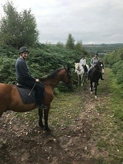 Budleigh Salterton Riding School景点图片