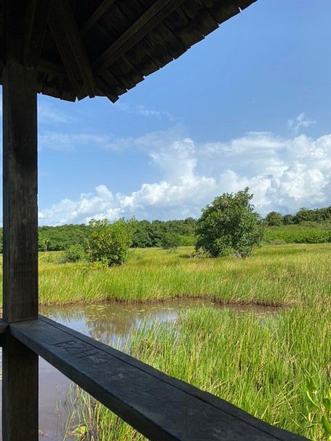 Sentier des Salines-Remire-Montjoly必去景点